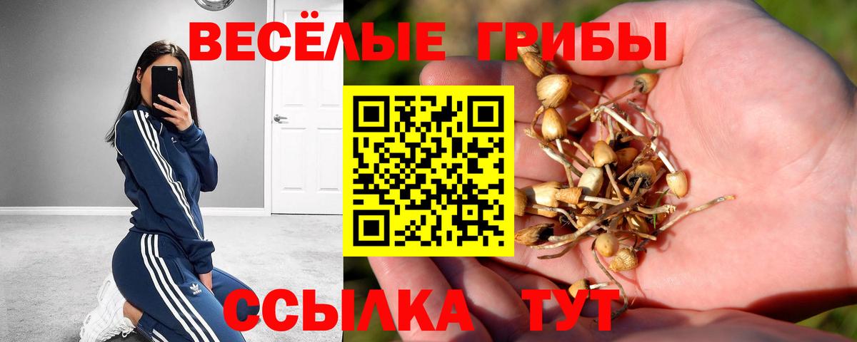 Новотроицк  Галлюциногенные грибы прущие грибы  Вход с VPN  Псилоцибиновые грибы Magic Shrooms 