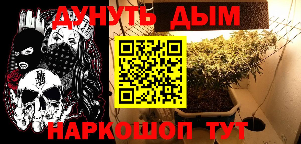 МАРИХУАНА план Новотроицк